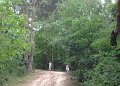 FRA_6296a