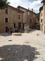 IMG_0501