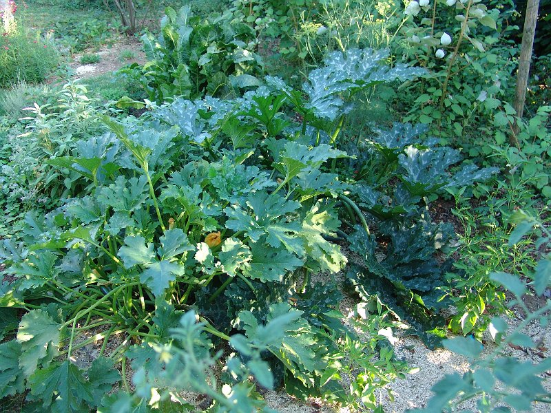 DSC01123.JPG
