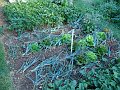 DSC01120
