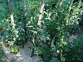 DSC01121