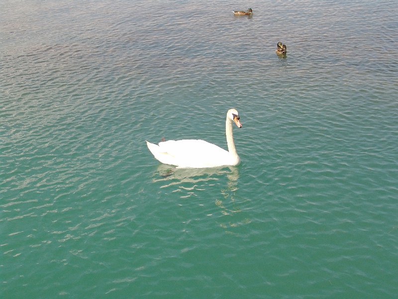 DSC00638.JPG