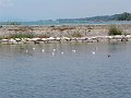 DSC00632