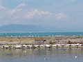 DSC00636