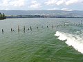 DSC00769