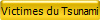 Victimes du Tsunami